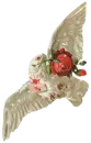 White Dove