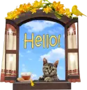Hello! 