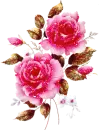 Victorian Pink Roses