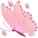Beautiful Butterfly