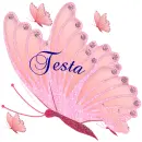 testa