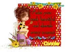 Week Beautiful ~ Connie