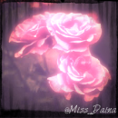 Vintage Roses