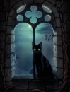 Black Cat At The Window
