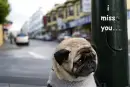 i miss you