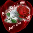 beautiful like you