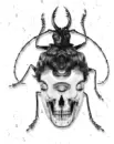Steampunk Cockroach