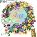 Jaya