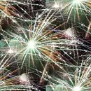 Fireworks - background