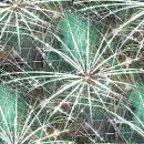 Fireworks - background