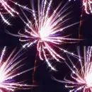 Fireworks - background
