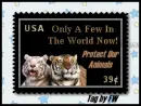 Protect our animals - Tigers