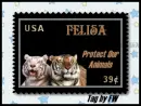 Protect our animals - Tiger Tag