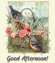 Sweet Good Afternoon