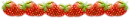 Strawberry Divider