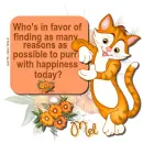 Mel - Cat - Happiness