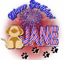 Jane - Birthday - Fireworks