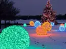colorful lights