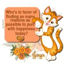 Jaya - Cat - Happiness