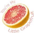 You're my little grapefruit