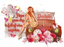 Nice Surprises ~ Shakela