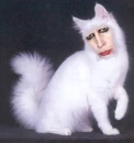 Marilyn Manson
