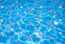 fish background