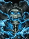 skulls