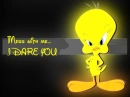 tweety mess with me attitude