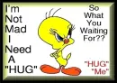 hug me tweety bird