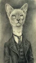Victorian Dandy Cat