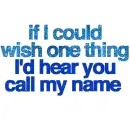 If i could...