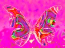 Butterfly psychedlic 