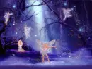 fairy