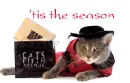 season