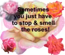 Stop & smell the roses