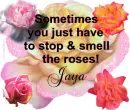 Jaya