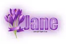 Lavender Flower: Jane