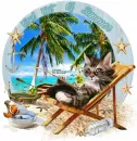 Cool Cat of summer