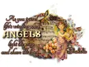 Angels ~ Shakela