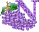 letter N