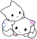 Cute Kittens