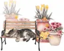 tabby
