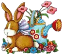 rabbit