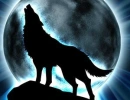 Moonlight Howls