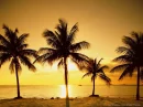 Beach scene
