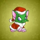 Adorable Acara