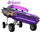 Shane