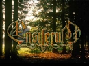 ensiferum1