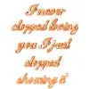 never stopped loving you